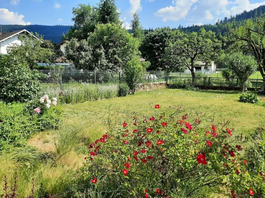 Chez Vovone 3 Etoiles Clevacances Saulxures-sur-Moselotte Εξωτερικό φωτογραφία
