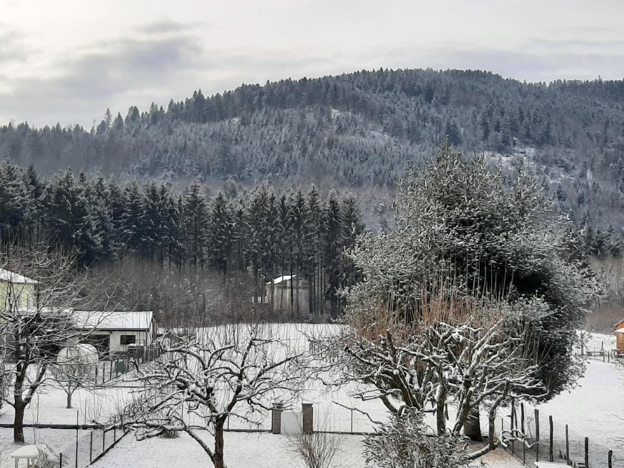 Chez Vovone 3 Etoiles Clevacances Saulxures-sur-Moselotte Εξωτερικό φωτογραφία