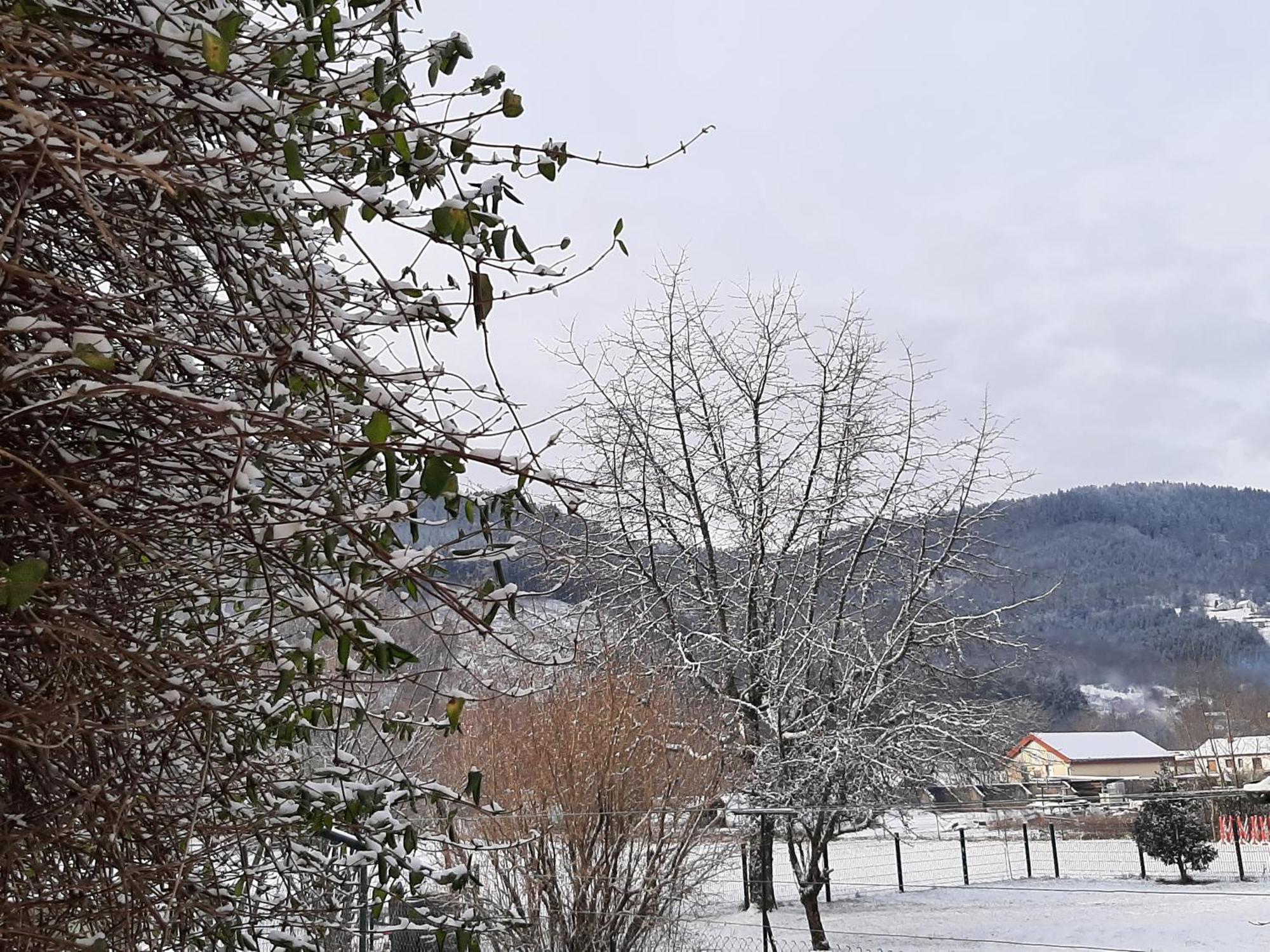 Chez Vovone 3 Etoiles Clevacances Saulxures-sur-Moselotte Εξωτερικό φωτογραφία