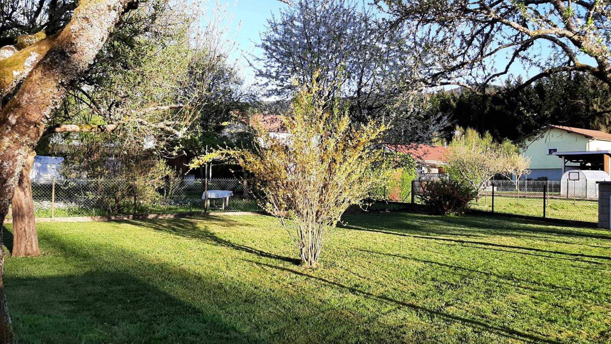 Chez Vovone 3 Etoiles Clevacances Saulxures-sur-Moselotte Εξωτερικό φωτογραφία