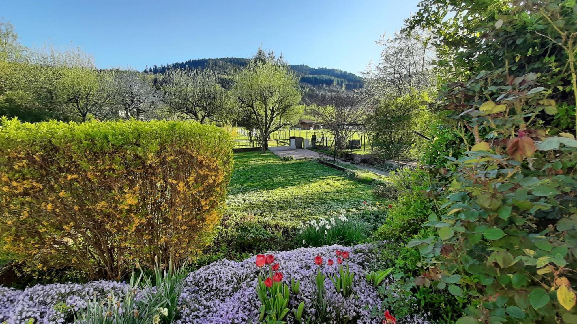 Chez Vovone 3 Etoiles Clevacances Saulxures-sur-Moselotte Εξωτερικό φωτογραφία