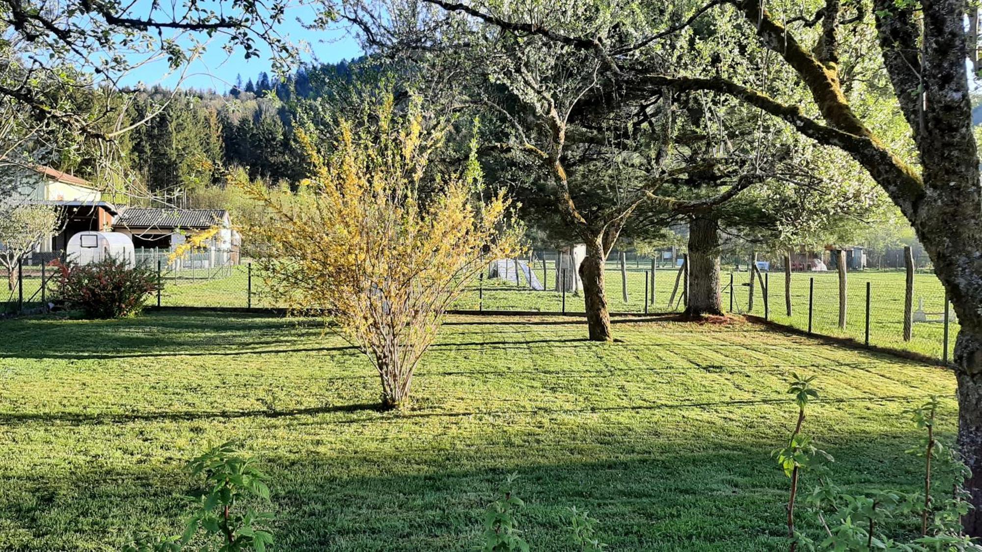 Chez Vovone 3 Etoiles Clevacances Saulxures-sur-Moselotte Εξωτερικό φωτογραφία