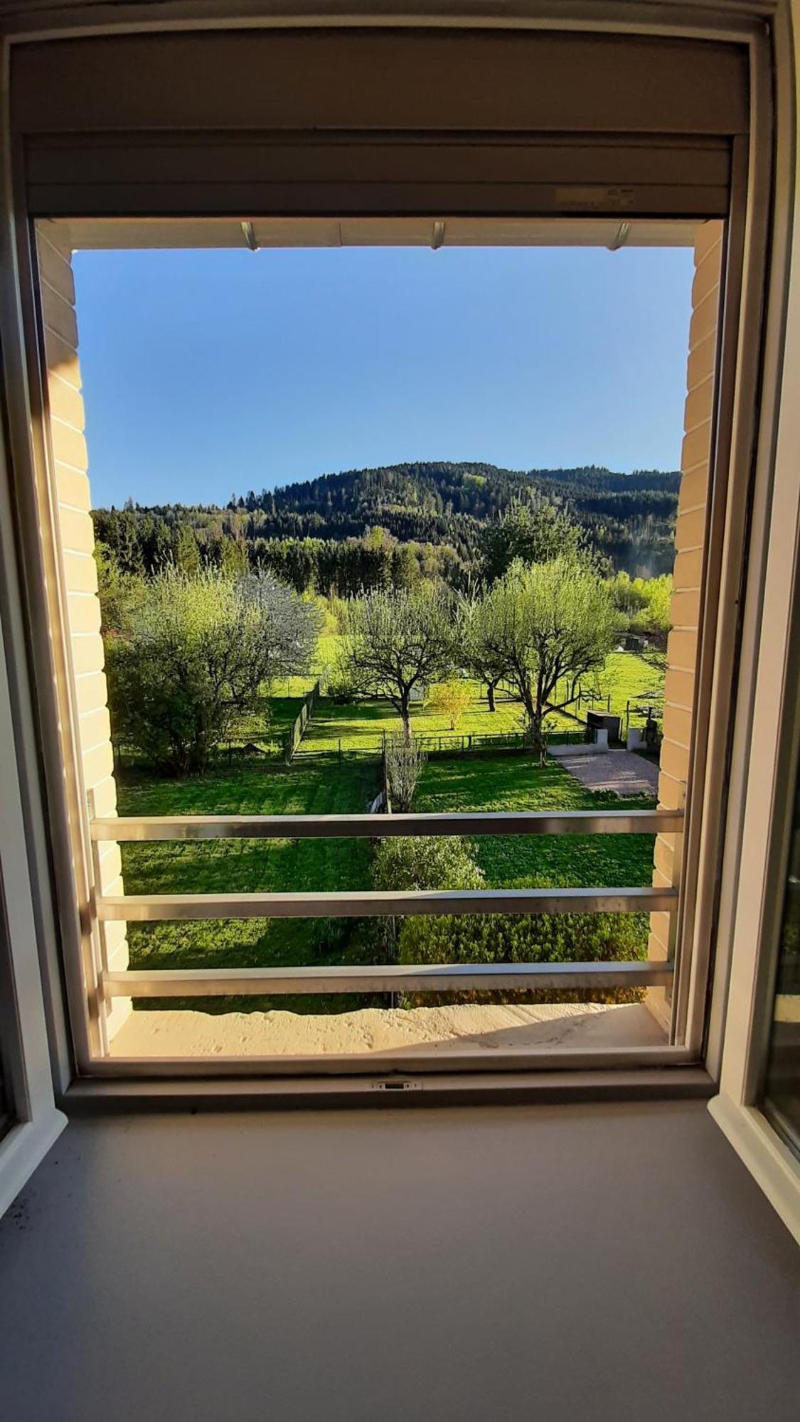 Chez Vovone 3 Etoiles Clevacances Saulxures-sur-Moselotte Εξωτερικό φωτογραφία